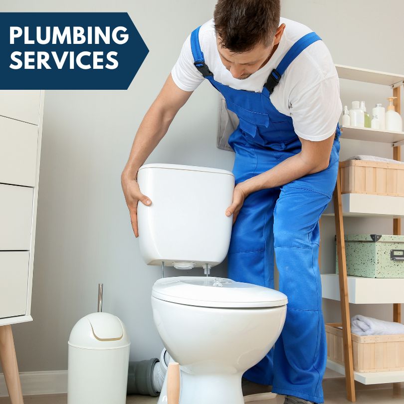 Plumbing Company in Wyandotte, MI